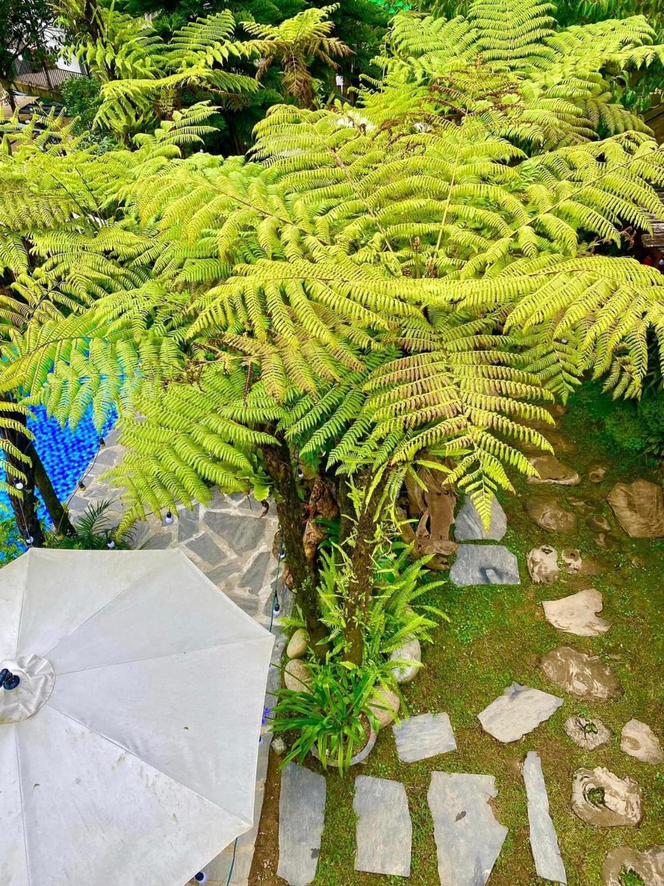 Love House Homestay Sapa ภายนอก รูปภาพ